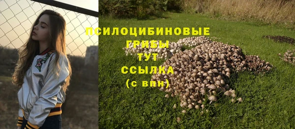 mix Кукмор