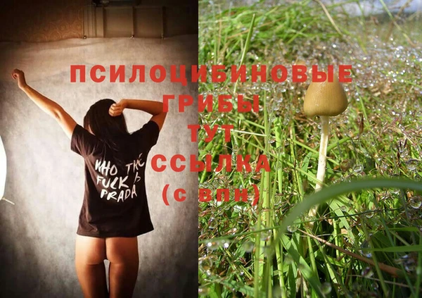 дмт Краснослободск